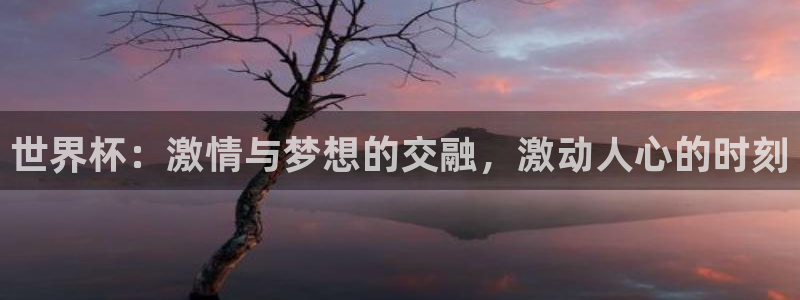 预选赛世界杯：世界杯：激情与梦想的交融，激动人心的时刻