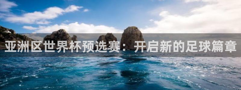 2026世界杯买球：亚洲区世界杯预选赛：开启新的足球篇章