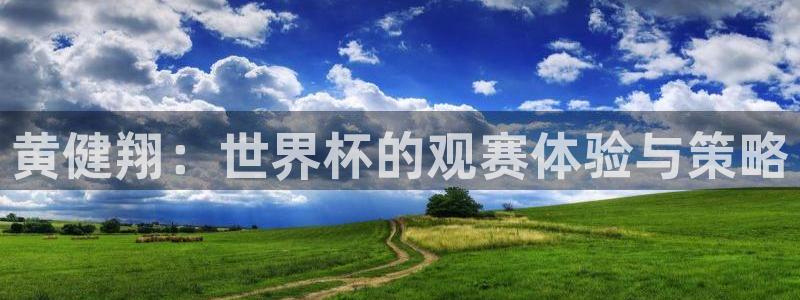 足球杯：黄健翔：世界杯的观赛体验与策略