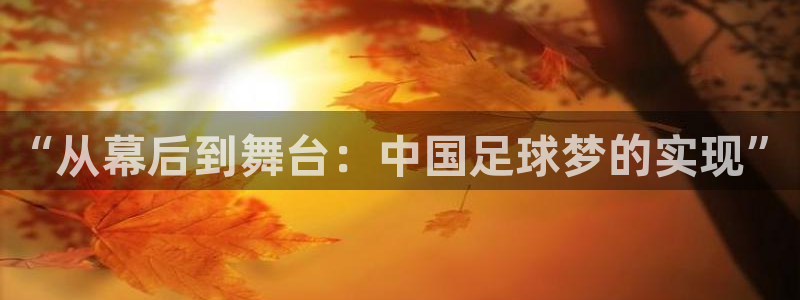 世界杯比赛直播：“从幕后到舞台：中国足球梦的实现”
