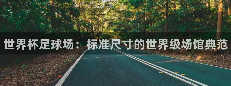 世界杯第一场比赛：世界杯足球场：标准尺寸的世界级场馆典范