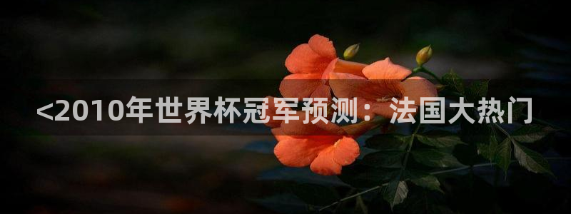 世界杯小组赛赛程：<2010年世界杯冠军预测：法国大热门