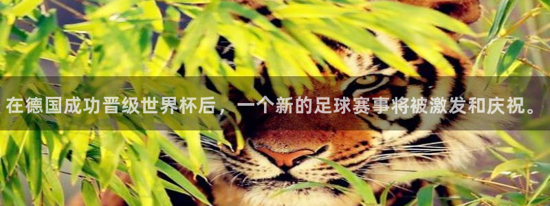 足球世界杯2026年赛程时间表：在德国成功晋级世界杯后，一个新的足球赛事将被激发和庆祝。