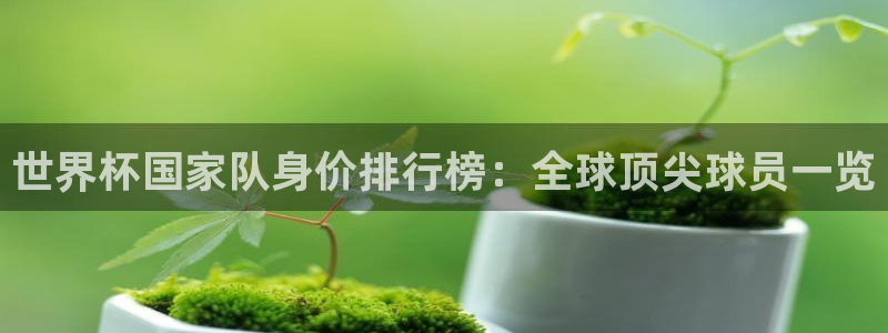 世界杯 2026：世界杯国家队身价排行榜：全球顶尖球员一览