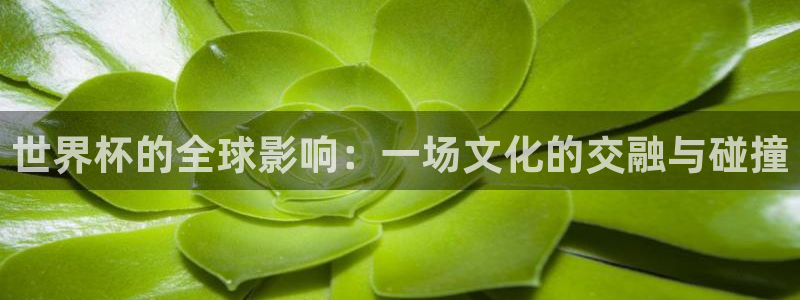 2026世界杯赛制：世界杯的全球影响：一场文化的交融与碰撞