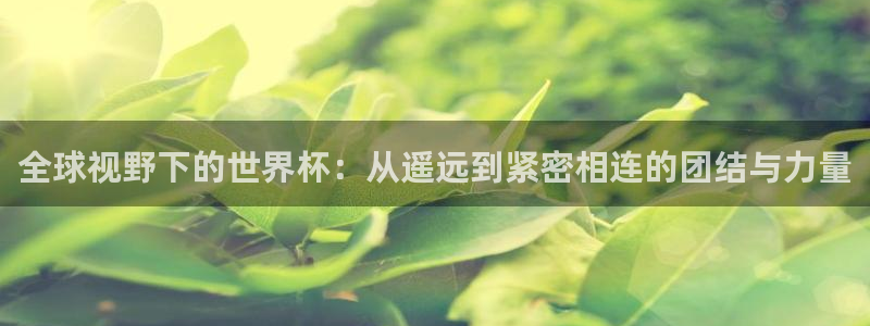 世界杯官网：全球视野下的世界杯：从遥远到紧密相连的团结与力量