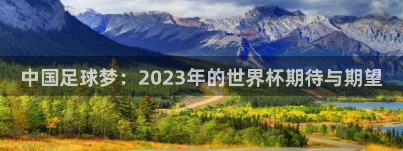 世界杯视频：中国足球梦：2023年的世界杯期待与期望