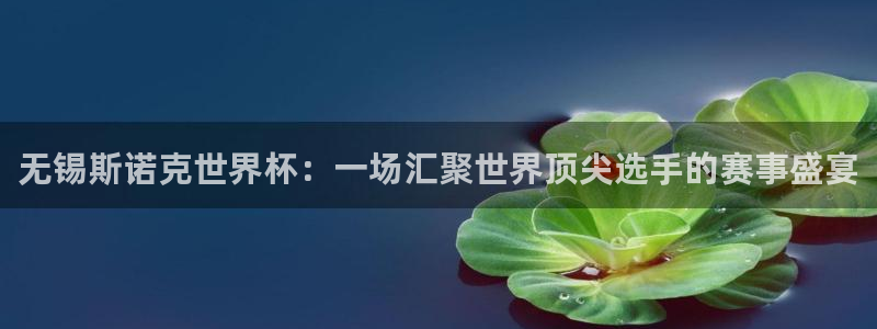 国际足联世界杯：无锡斯诺克世界杯：一场汇聚世界顶尖选手的赛事盛宴