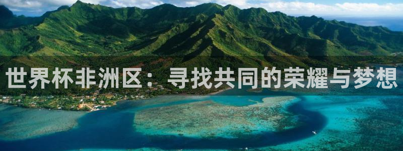 世界杯球赛：世界杯非洲区：寻找共同的荣耀与梦想