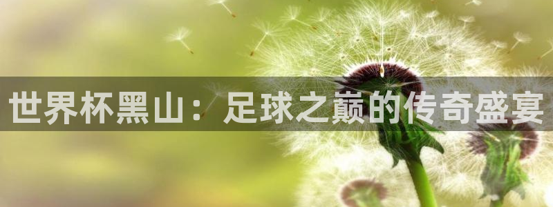 世界直播：世界杯黑山：足球之巅的传奇盛宴