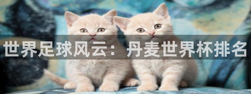 2026年世界杯时间表：世界足球风云：丹麦世界杯排名